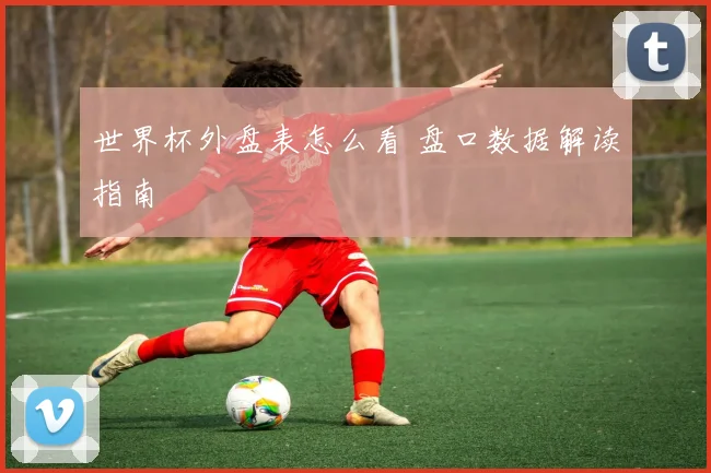 世界杯外盘表怎么看 盘口数据解读指南