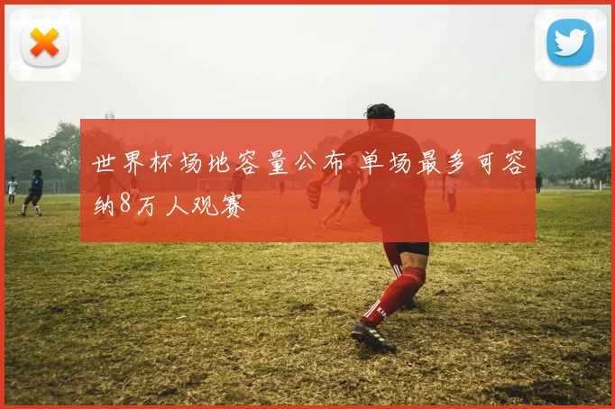 世界杯场地容量公布 单场最多可容纳8万人观赛