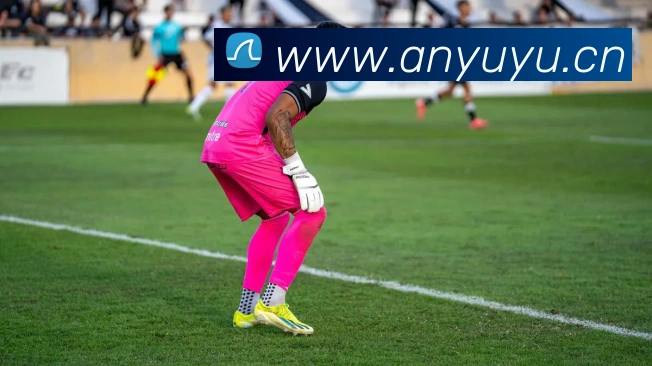 bat365备用登录入口发展历程